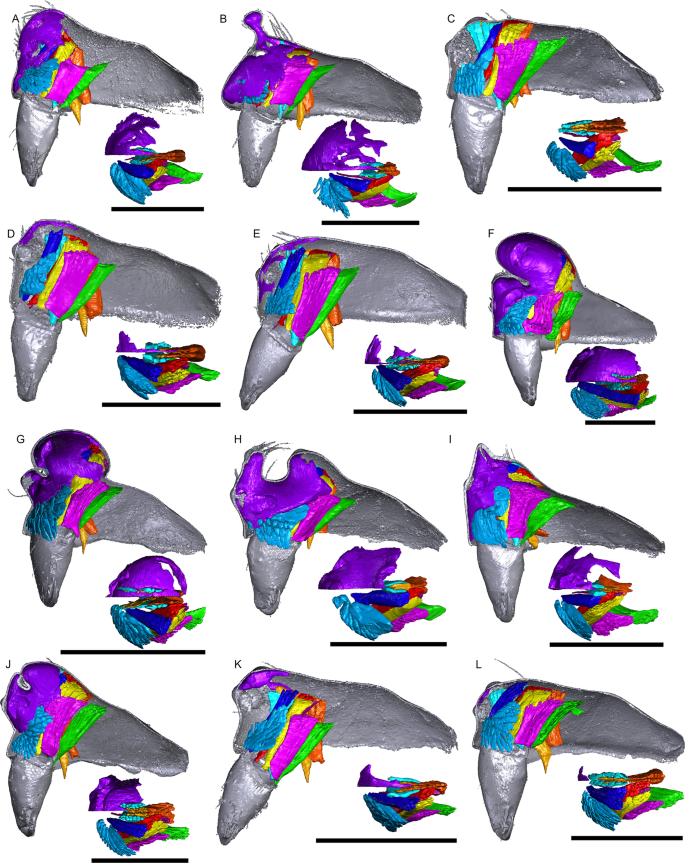 figure 14