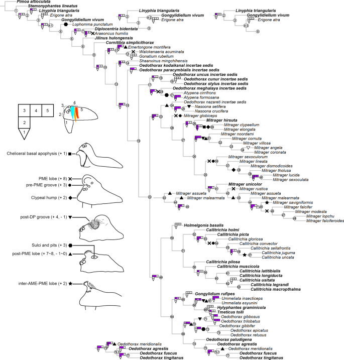 figure 16