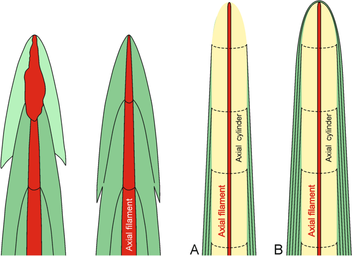 figure 18