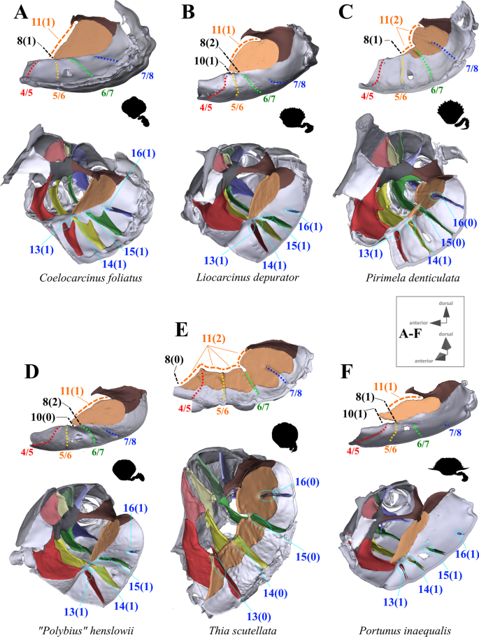 figure 11