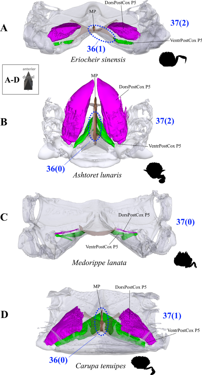 figure 27