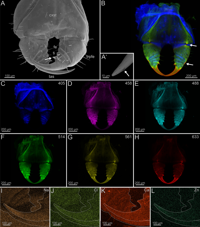 figure 15