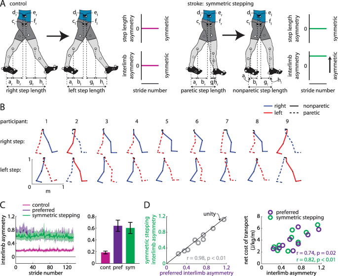 Persons post-stroke improve step length symmetry by walking asymmetrically  | Journal of NeuroEngineering and Rehabilitation | Full Text