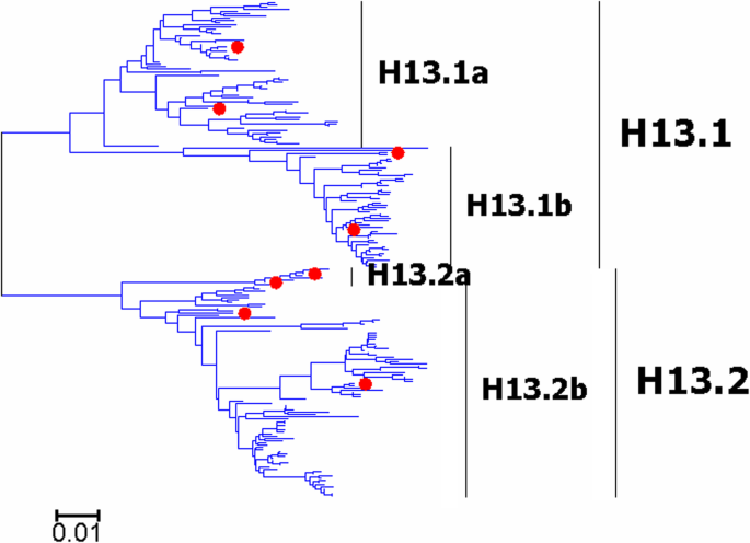 figure 15