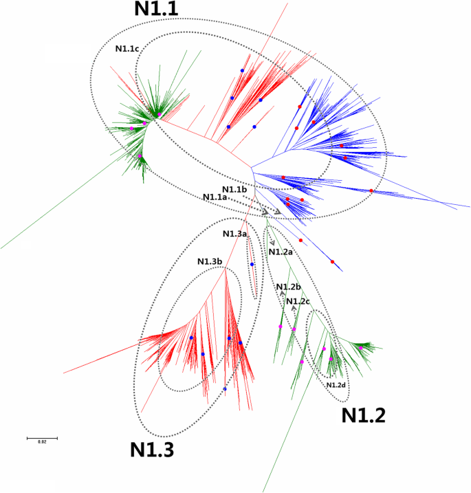 figure 17