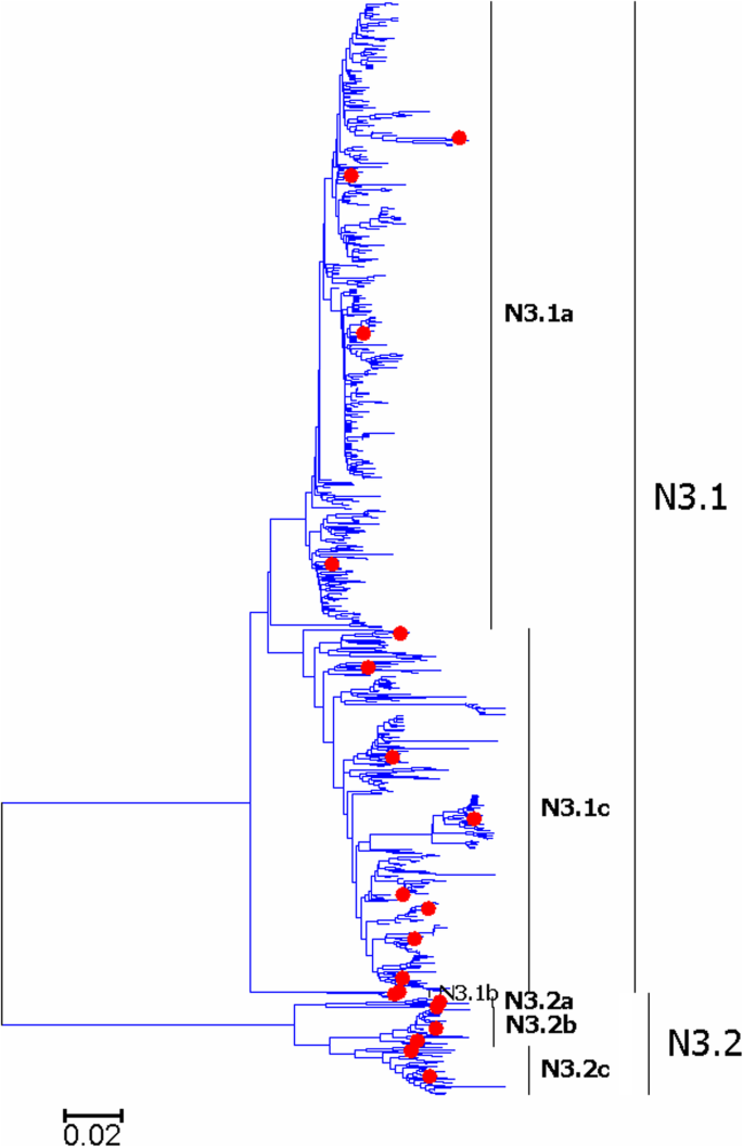 figure 22