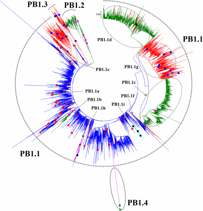 figure 28