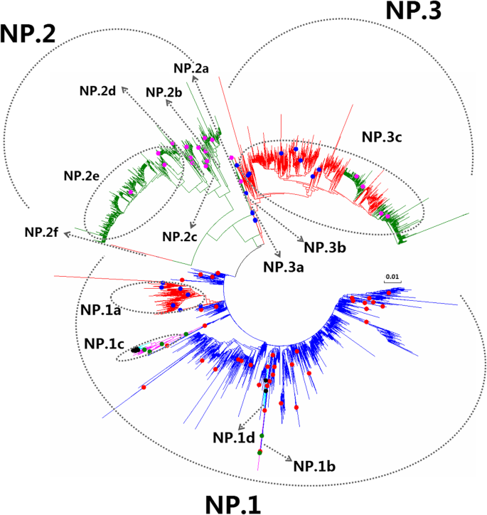 figure 30