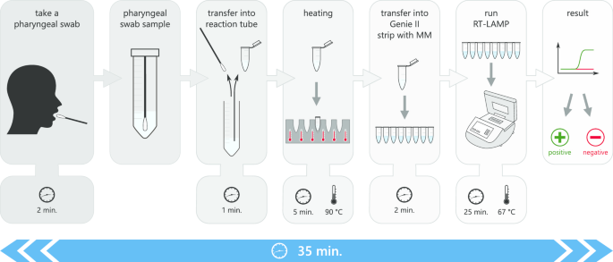 Rapid point-of-care detection of SARS-CoV-2 using reverse transcription  loop-mediated isothermal amplification (RT-LAMP) | Virology Journal | Full  Text