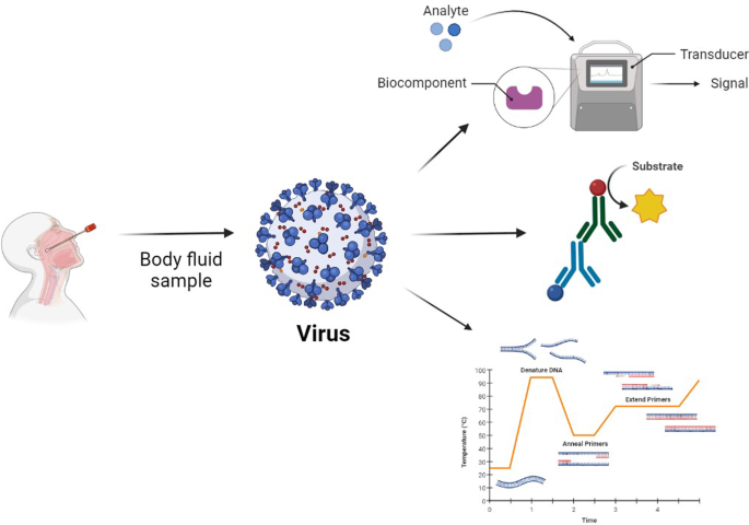 Biomedicines, Free Full-Text