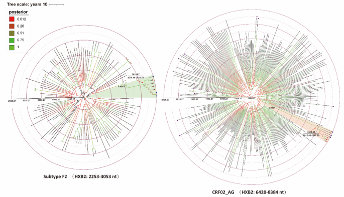 Molecular characterization of a unique Recombinant form of HIV-1 subtype F2/CRF02_AG identified in Guangdong, China – Virology Journal