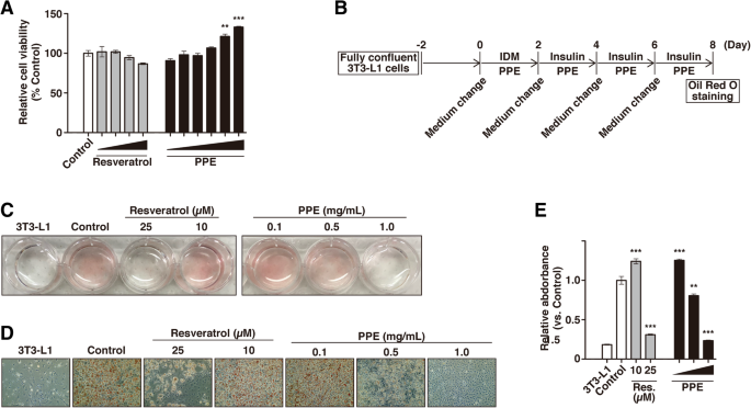Placental Extract Suppresses Differentiation Of 3t3 L1 Preadipocytes To Mature Adipocytes Via Accelerated Activation Of P38 Mapk During The Early Phase Of Adipogenesis Nutrition Metabolism Full Text