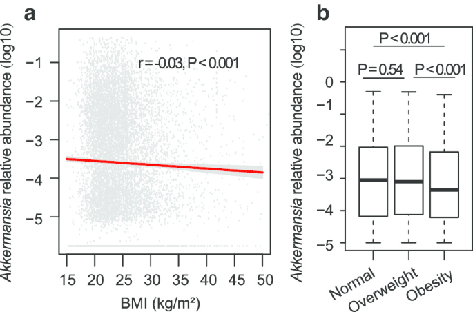 Perfekt Secréte Afslag Gut bacteria Akkermansia is associated with reduced risk of obesity:  evidence from the American Gut Project | Nutrition & Metabolism | Full Text