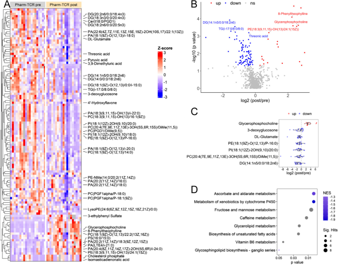 a case study of overfeeding 3 different diets figure 1