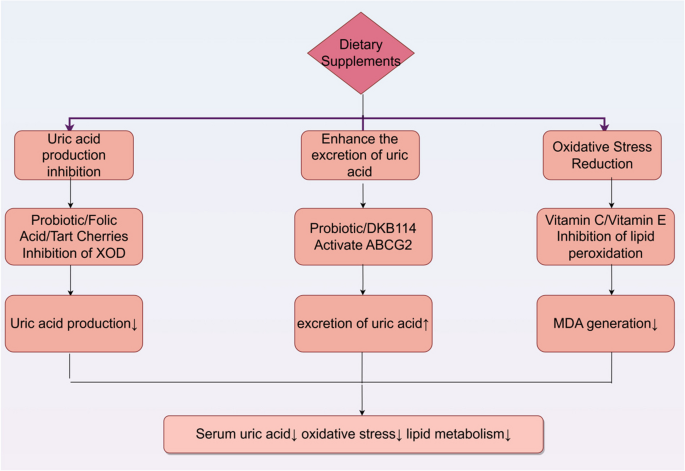 The effectiveness and safety of specific dietary supplements in modulating uric acid levels, oxidative stress, and lipid metabolism in patients: a network meta-analysis of 13 interventions | Nutrition & Metabolism | Springer The effectiveness and safety of specific dietary supplements in modulating uric acid levels, oxidative stress, and lipid metabolism in patients: a network meta-analysis of 13 interventions | Nutrition & Metabolism | Springer