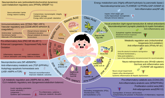 kb glutathione health benefits 14 for Your Body and Frontiers | Health benefits of
