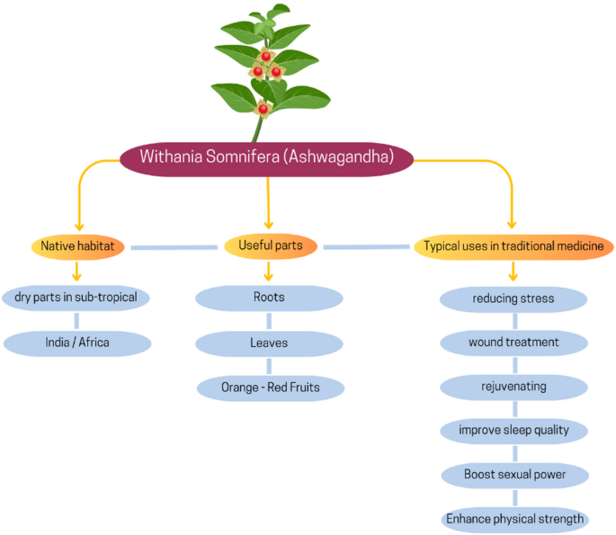 Ashwagandha (Withania Somnifera): a comprehensive narrative review of its  role in enhancing physical performance and health | Nutrition & Metabolism  | Springer Nature Link