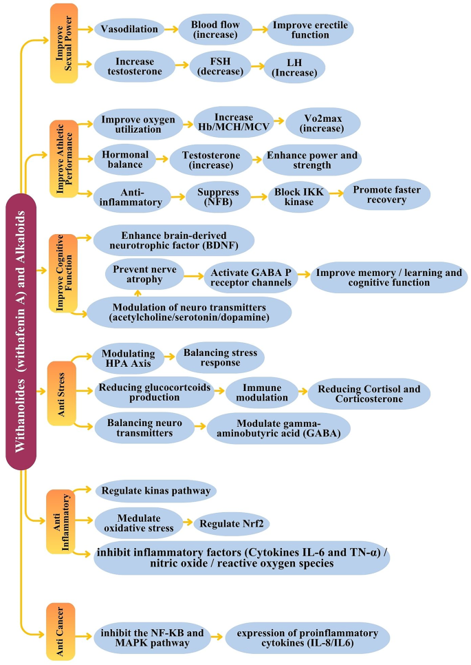 Ashwagandha (Withania Somnifera): a comprehensive narrative review of its  role in enhancing physical performance and health | Nutrition & Metabolism  | Springer Nature Link
