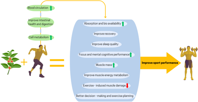 does ashwaganda increase glutathione Ashwagandha (Withania Somnifera): a comprehensive narrative review of its  role in enhancing physical performance and health | Nutrition & Metabolism