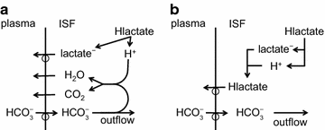 figure 24