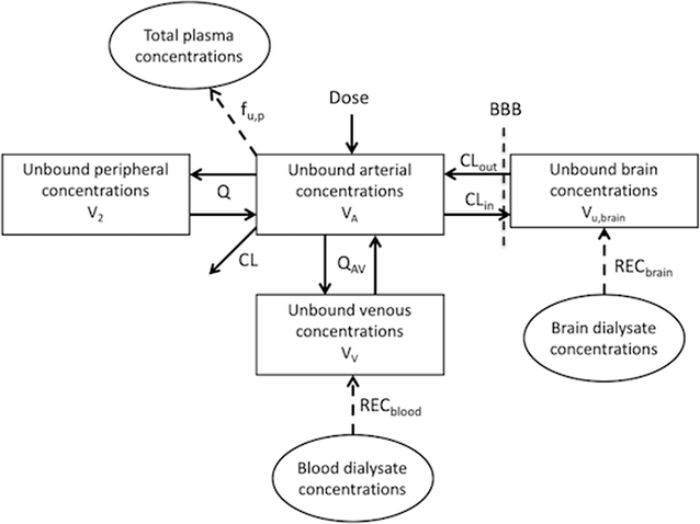 Revisiting Atenolol As A Low Passive Permeability Marker Fluids