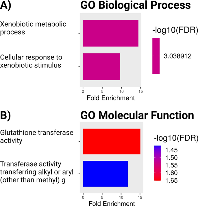 Data independent acquisition proteomic analysis of the brain  