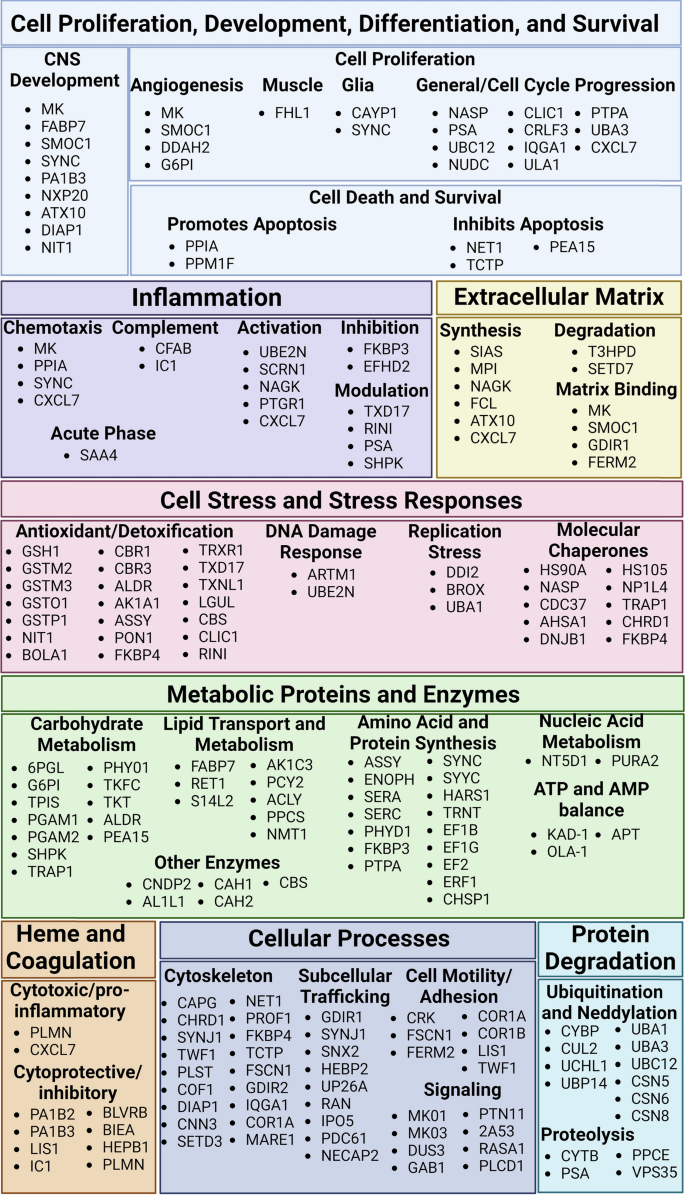 Data independent acquisition proteomic analysis of the brain  