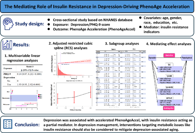 The mediating role of insulin resistance in depression driving ...