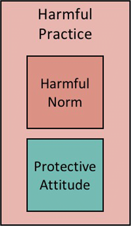 Theory And Practice Of Social Norms Interventions Eight Common Pitfalls Globalization And Health Full Text