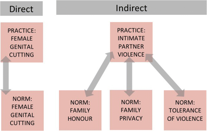 Theory And Practice Of Social Norms Interventions Eight Common Pitfalls Globalization And Health Full Text