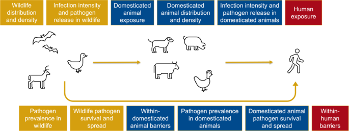 conclusion of literature review in research figure 1