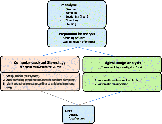stereology basics stereology basics