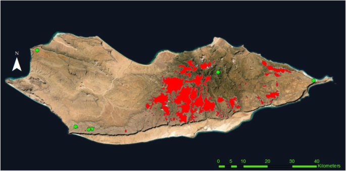 Exploring The Historical Distribution Of Dracaena Cinnabari Using Ethnobotanical Knowledge On Socotra Island Yemen Journal Of Ethnobiology And Ethnomedicine Full Text Exploring The Historical Distribution Of Dracaena Cinnabari Using Ethnobotanical Knowledge On Socotra Island Yemen Journal Of Ethnobiology And Ethnomedicine Full Text