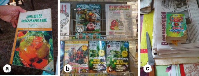 Knowledge in motion: temporal dynamics of wild food plant use in 