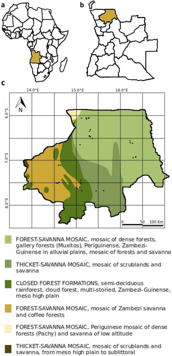 Prevalence of Breast Feeding in Angola
