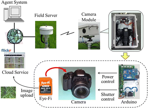 figure 11