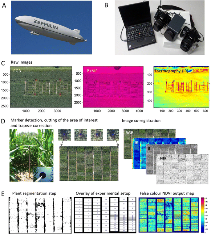 Remote, aerial phenotyping of maize traits with a mobile multi ...