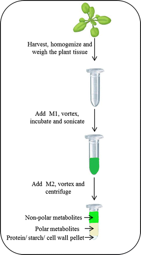 Protocol: a fast, comprehensive and reproducible one-step extraction method  for the rapid preparation of polar and semi-polar metabolites, lipids,  proteins, starch and cell wall polymers from a single sample | Plant  Methods