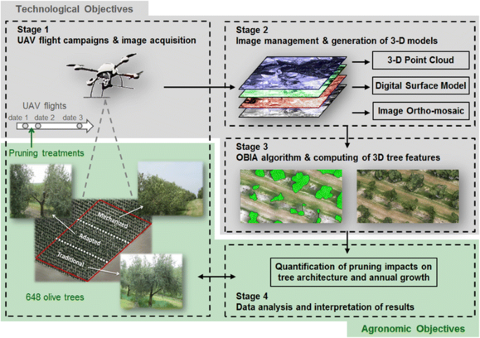 Quantifying Pruning Impacts On Olive Tree Architecture And Annual Canopy Growth By Using Uav Based 3d Modelling Plant Methods Full Text