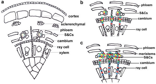 figure 8