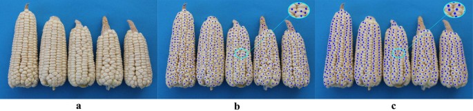 figure 18