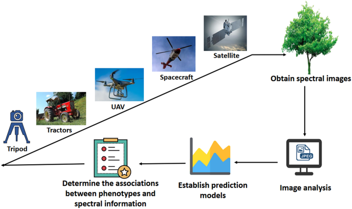Phenotypic Techniques And Applications In Fruit Trees A Review Plant Methods Full Text