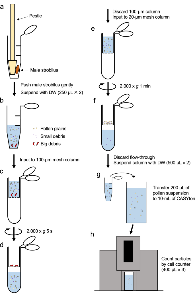 An improved pollen number counting method using a cell counter and mesh  columns | Plant Methods | Full Text