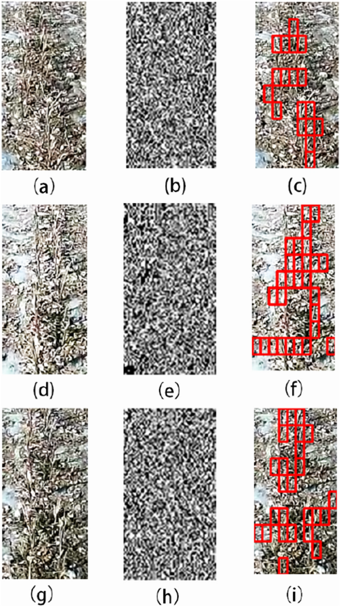 Cotton Stubble Detection Based On Wavelet Decomposition And Texture Features Plant Methods Full Text