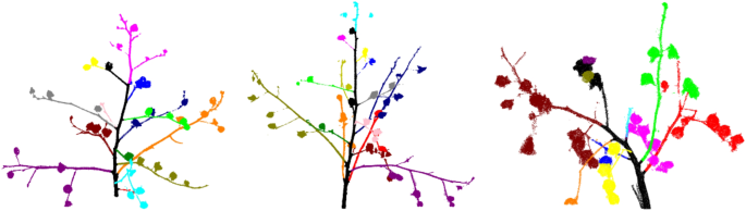 figure 19