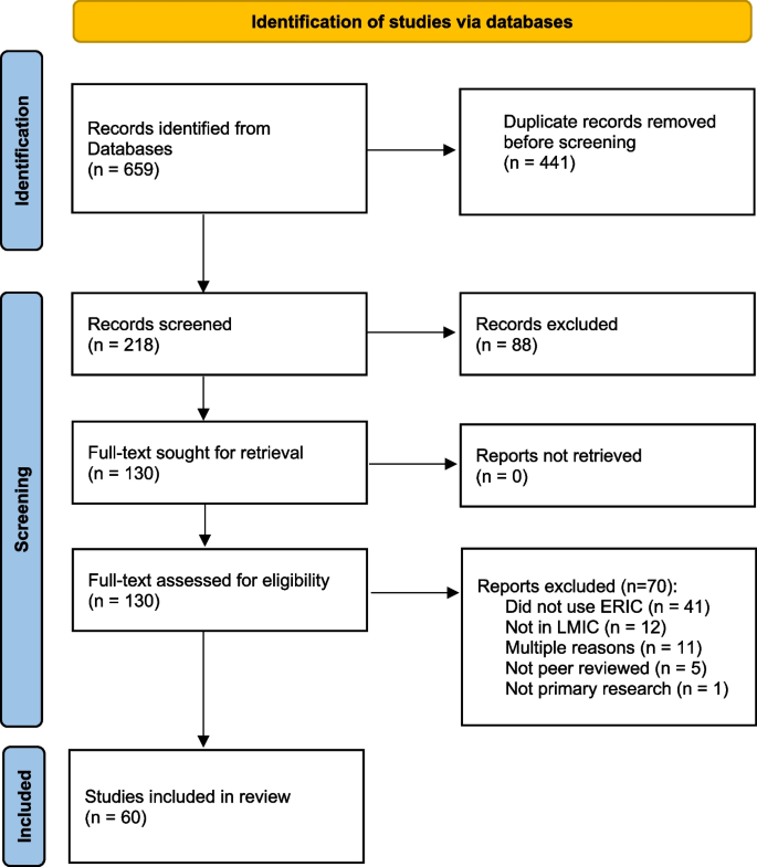 systematic literature review sample study figure 1