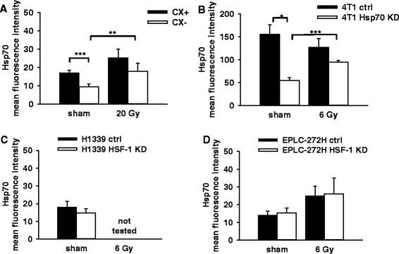Role Of Membrane Hsp70 In Radiation Sensitivity Of Tumor Cells Springerlink