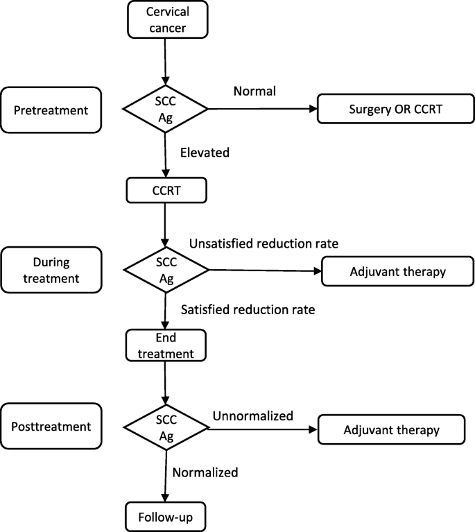 Almighty football erection The role of squamous cell carcinoma antigen (SCC Ag) in outcome prediction  after concurrent chemoradiotherapy and treatment decisions for patients  with cervical cancer | Radiation Oncology | Full Text