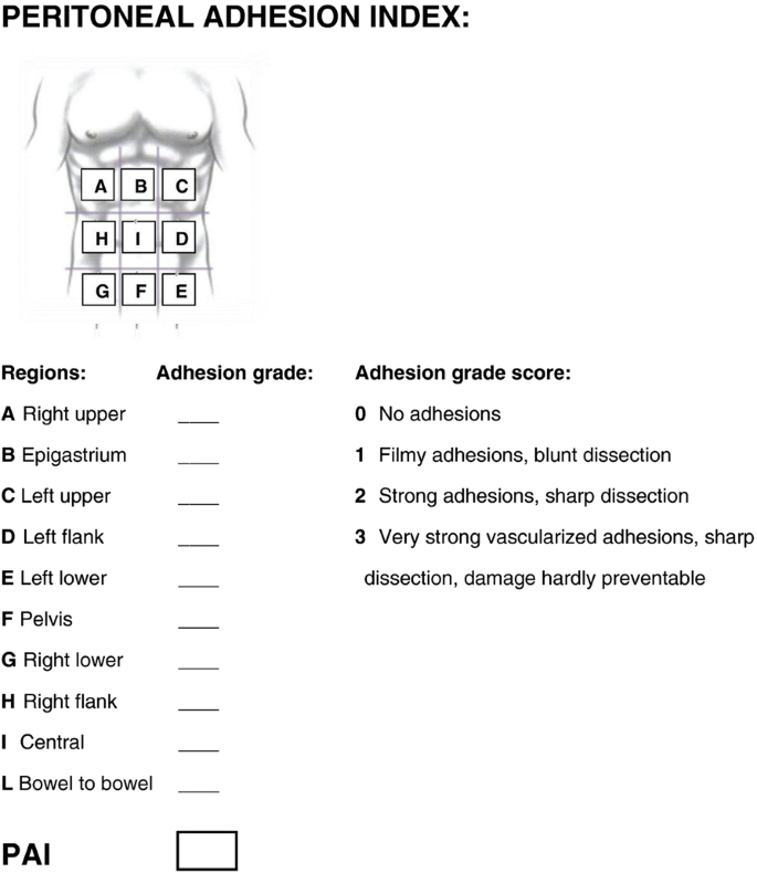 Bologna Guidelines For Diagnosis And Management Of Adhesive Small Bowel Obstruction Asbo 17 Update Of The Evidence Based Guidelines From The World Society Of Emergency Surgery Asbo Working Group World Journal Of