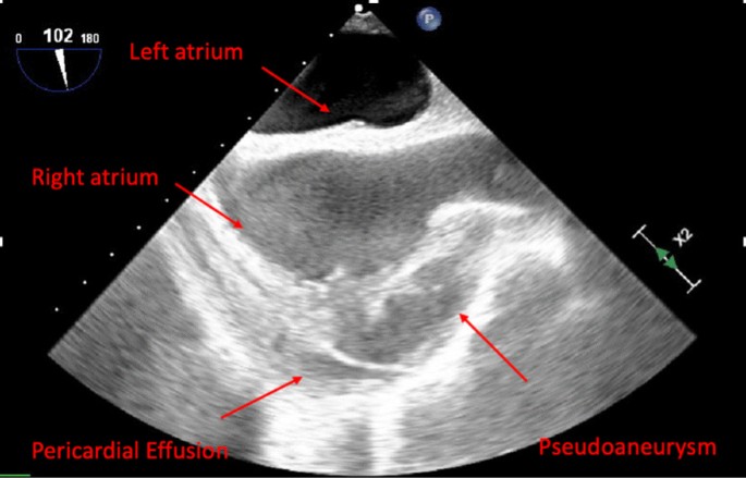 journal article presentation figure 2